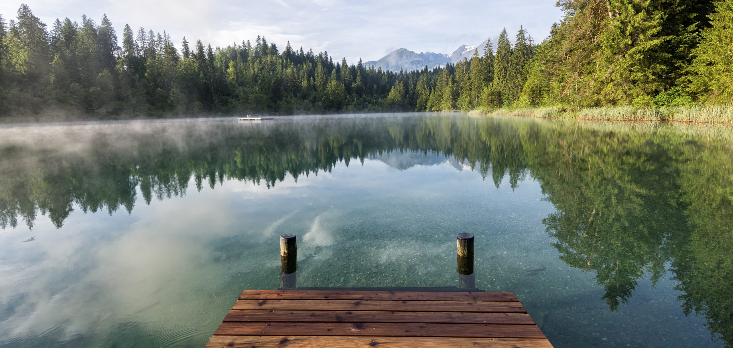 Wer bist du in Jesus Christus?